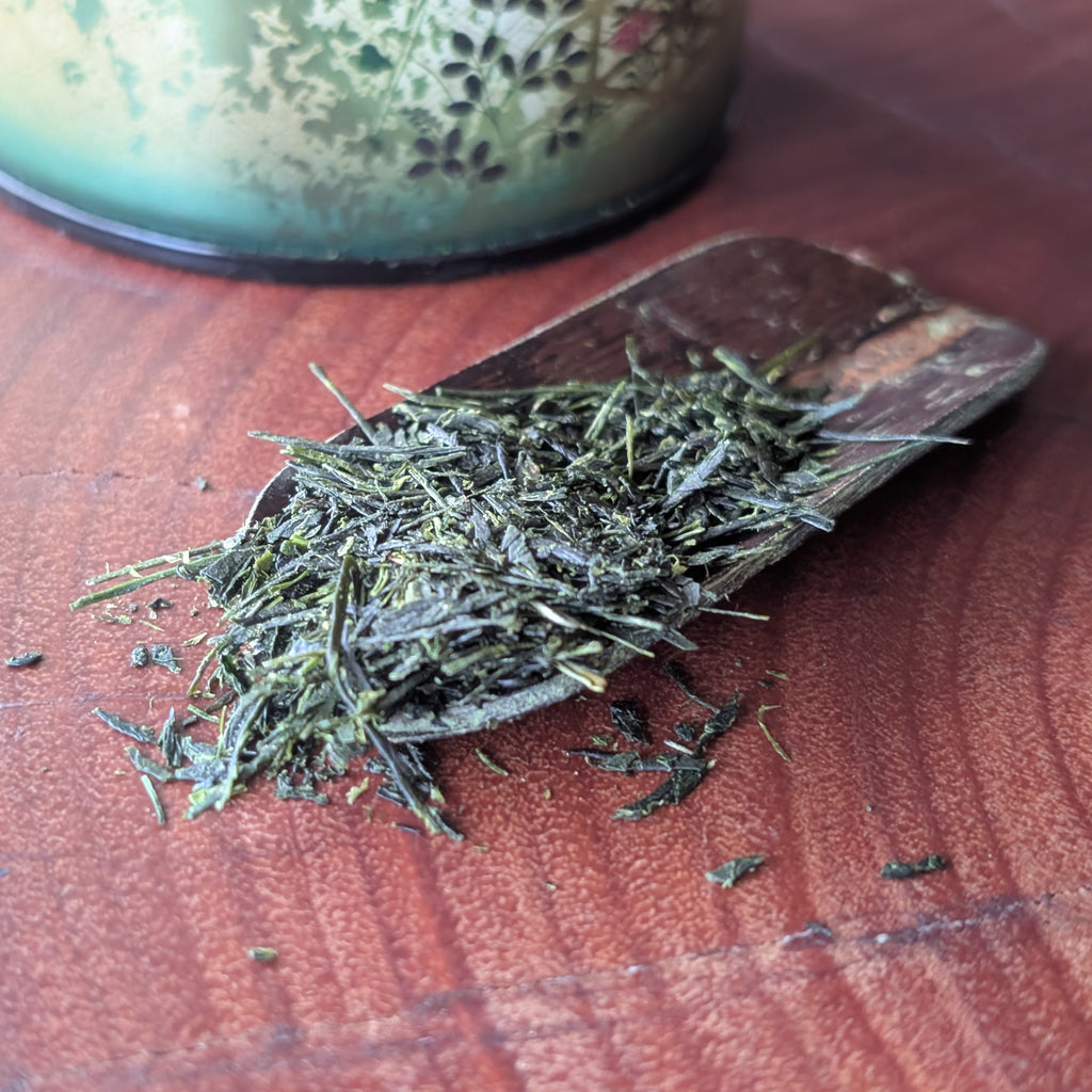 Premium Organic Sencha
